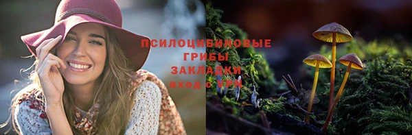 дурь Абаза