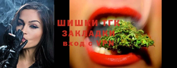 шишки Абинск