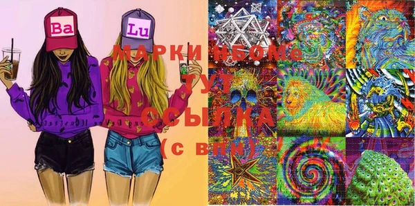шишки Абинск