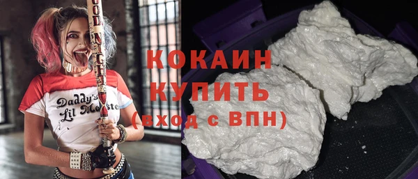 шишки Абинск
