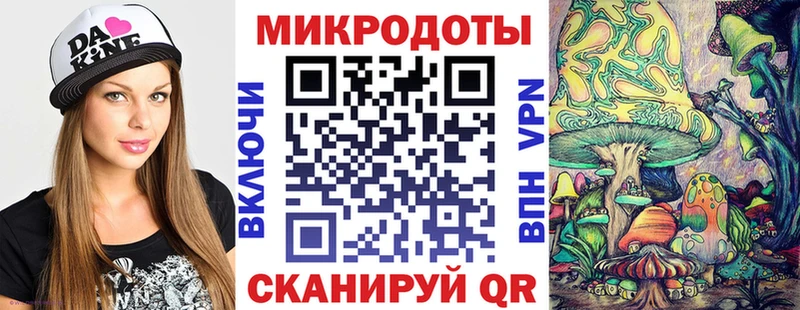 Псилоцибиновые грибы Psilocybine cubensis  Вытегра 